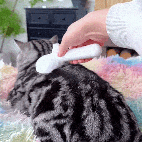 Perie Magică pentru Blana Animalelor